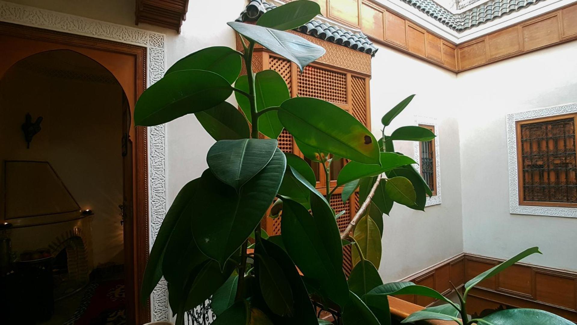 马拉喀什 里亚德画廊49号庭院旅馆酒店 外观 照片